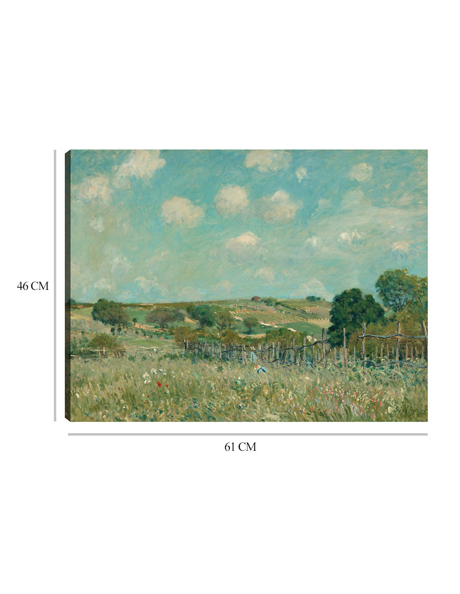 Foto 7 pulgar | Cuadro Decorativo - Prado- Alfred Sisley - Religión - 46x61 - Impresión En Lienzo - Fine Art Tj