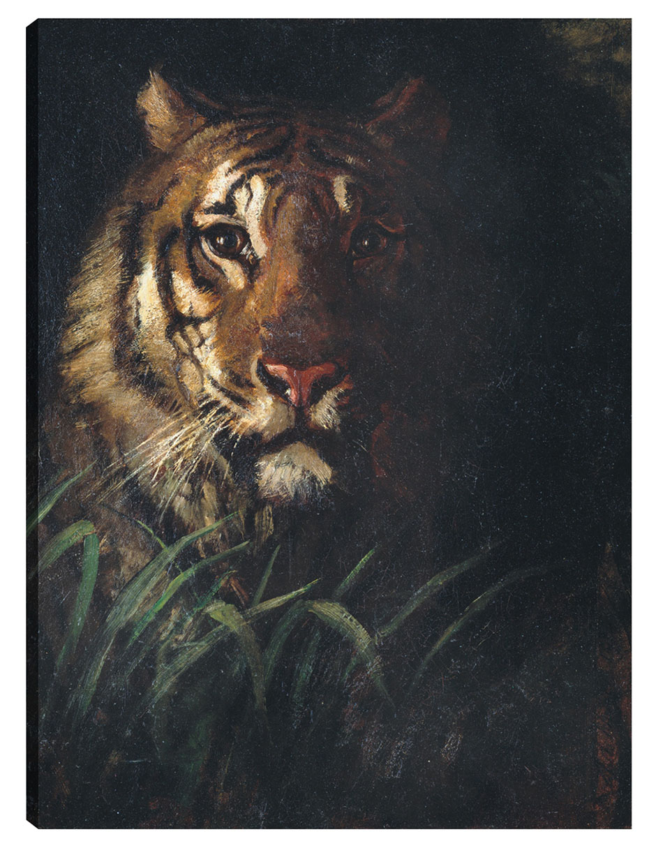 Foto 2 pulgar | Cuadro Decorativo - Cabeza De Tigre (hacia 1874)- Abbott Handerson Thayer - Animales - 69x92 - Impresión En Lie