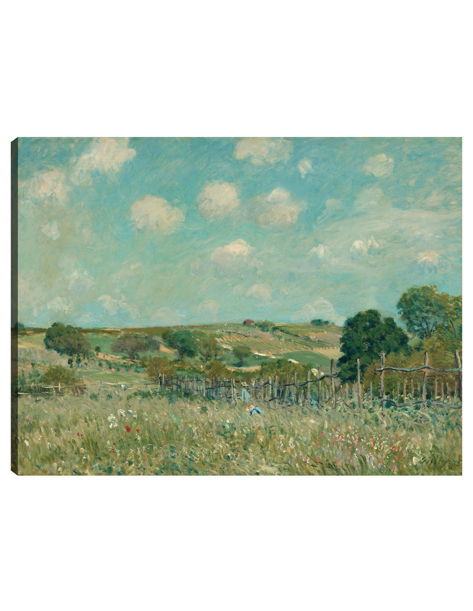 Foto 2 pulgar | Cuadro Decorativo - Prado- Alfred Sisley - Religión - 28x36 - Impresión En Lienzo - Fine Art Tj