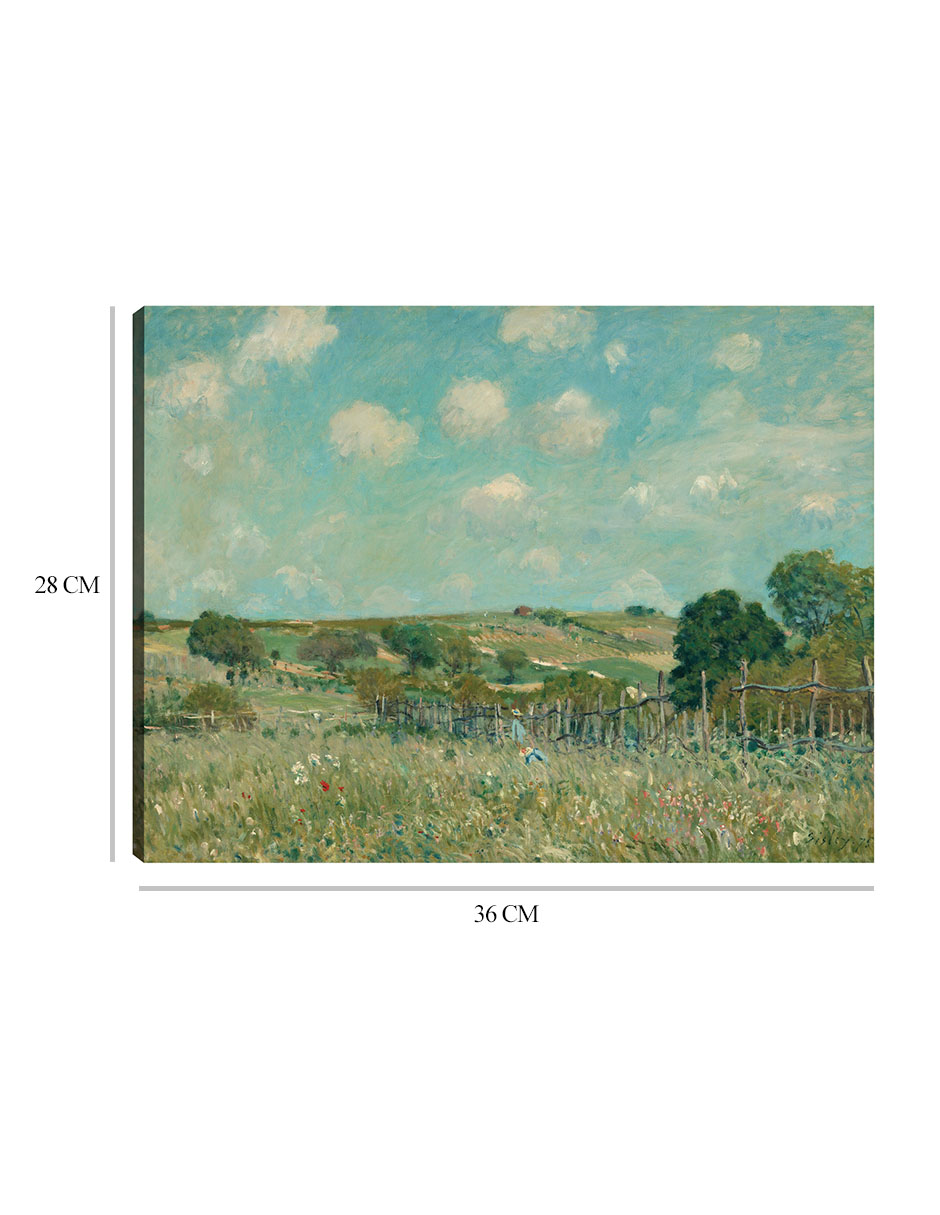 Foto 7 pulgar | Cuadro Decorativo - Prado- Alfred Sisley - Religión - 28x36 - Impresión En Lienzo - Fine Art Tj