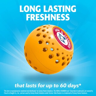 Foto 4 | Desodorizer Arm & Hammer Odor Busterz Balls paquete de 6 - Venta Internacional