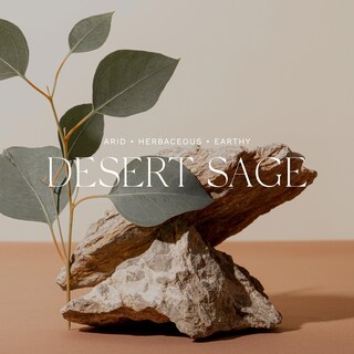 Foto 3 | Difusor De Ambiente Para El Hogar Antica Farmacista Desert Sage 500 Ml - Venta Internacional.