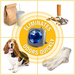 Foto 4 | Ambientador Para Coche Arm & Hammer New Car Freshness, Paquete De 4 - Venta Internacional.