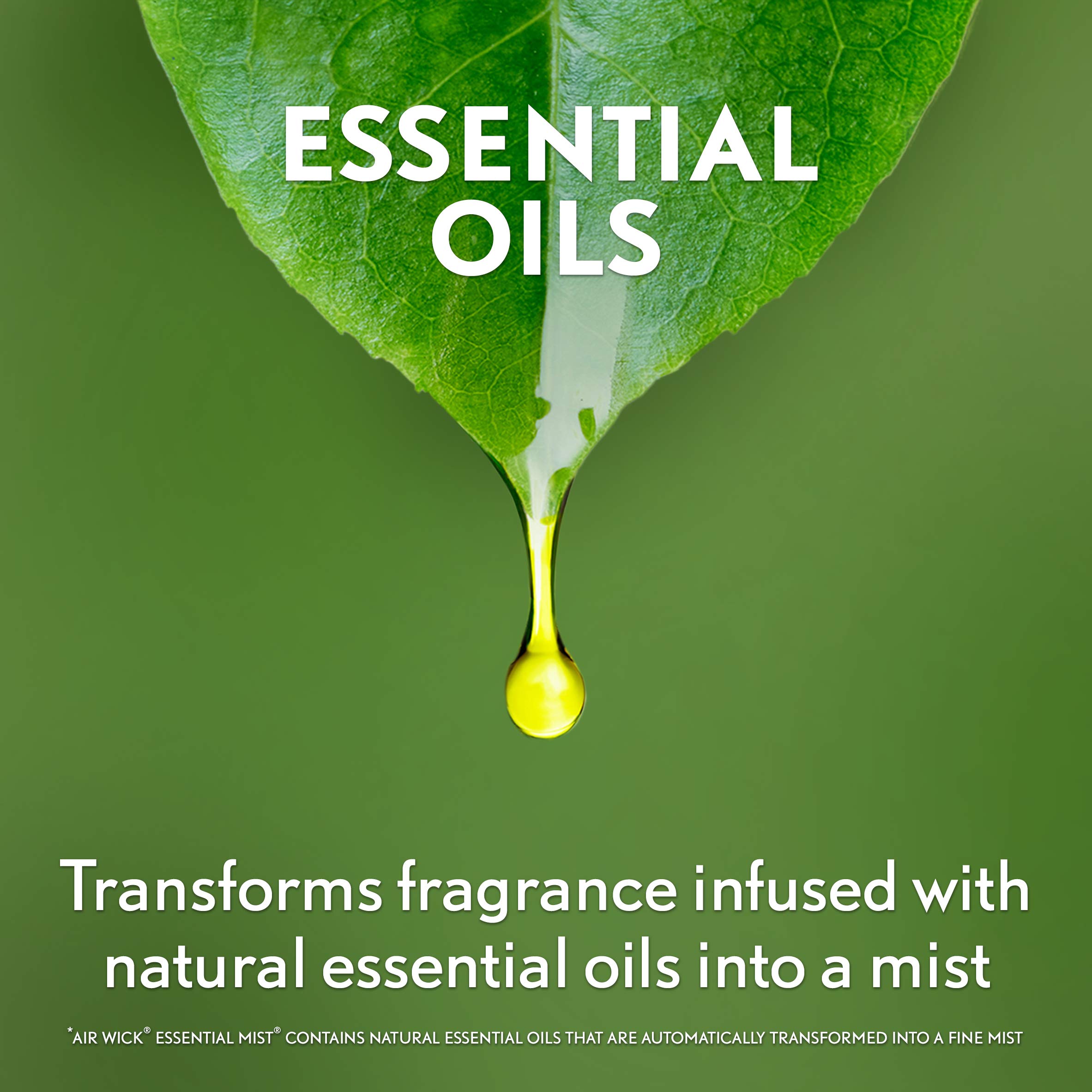 Foto 6 | Recambio Para Difusor De Aceites Esenciales Air Wick, Agua Fresca Breeze - Venta Internacional.