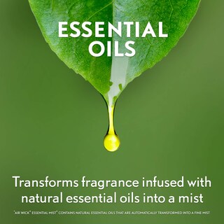 Foto 6 | Recambio Para Difusor De Aceites Esenciales Air Wick, Agua Fresca Breeze - Venta Internacional.