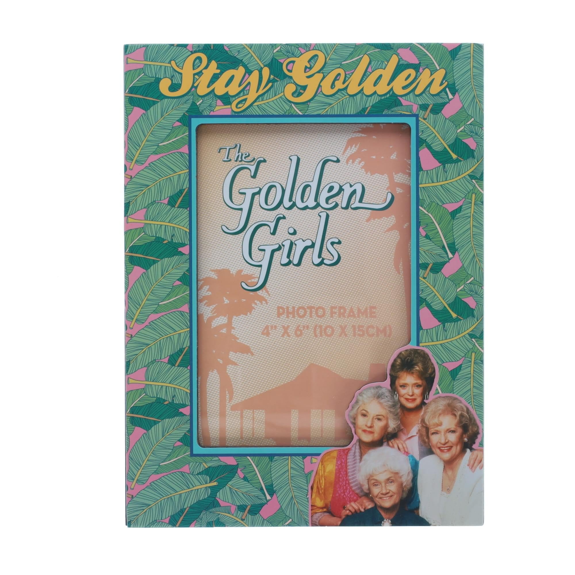 Marco De Fotos Silver Buffalo The Golden Girls 4x6 - Venta Internacional.