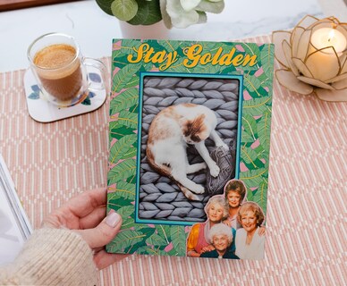 Foto 5 | Marco De Fotos Silver Buffalo The Golden Girls 4x6 - Venta Internacional.