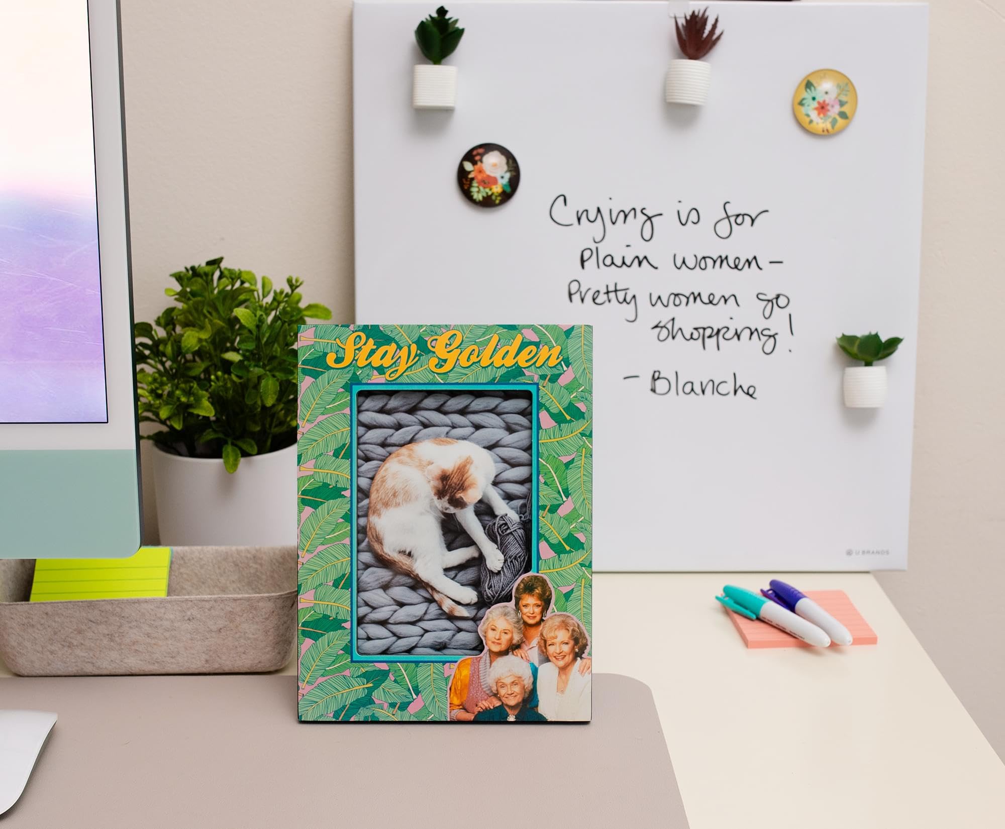 Foto 6 | Marco De Fotos Silver Buffalo The Golden Girls 4x6 - Venta Internacional.