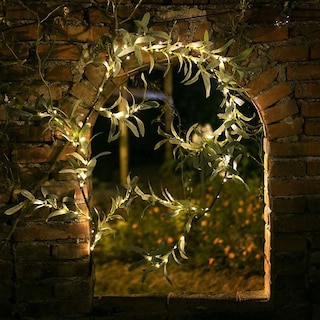 Foto 7 | Guirnalda De Luces Led Con 96 Luces Led, Color Olivo, Diseño Fudios, 6 Pies, Con Temporizador - Venta Internacional.