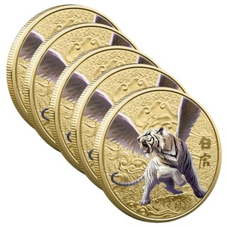 Foto 1 | Monedas Conmemorativas Chinas Smilefun Mxiwt-005 5 Piezas Oro