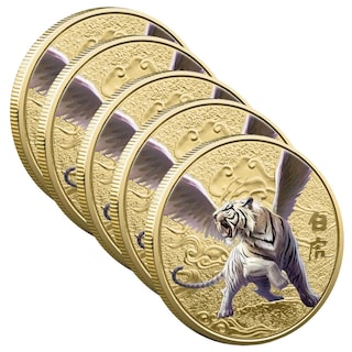Foto 2 | Monedas Conmemorativas Chinas Smilefun Mxiwt-005 5 Piezas Oro