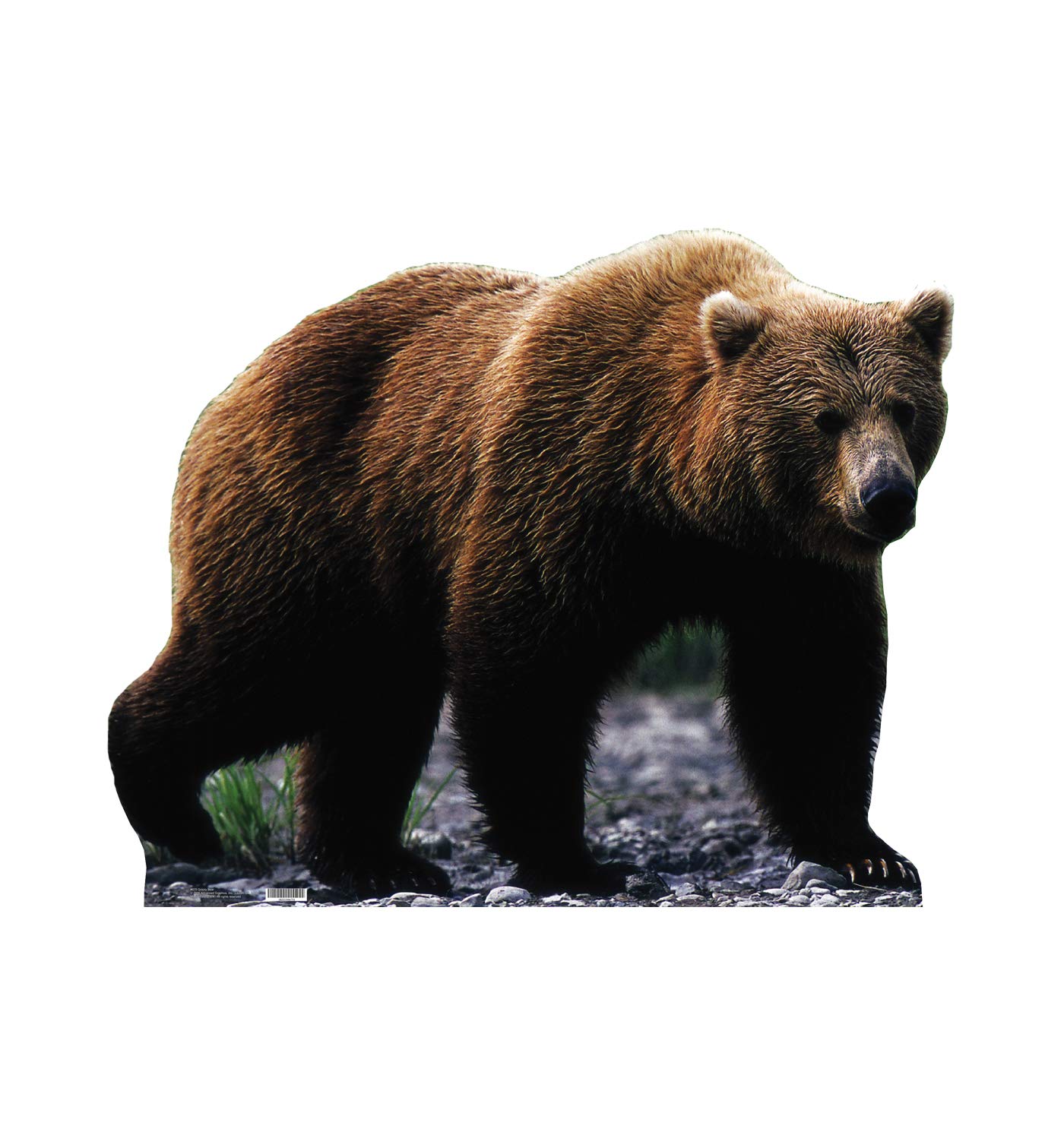 Foto 2 pulgar | Cardboard Standee Cardboard People Grizzly Bear Size Size Size - Venta Internacional.