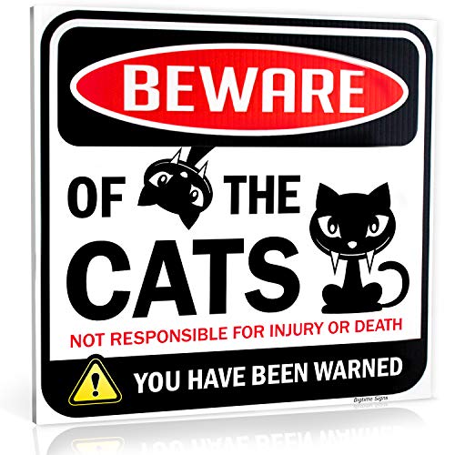 Foto 2 pulgar | Cartel Bigtime Signs Beware Of Gats, Divertido Adorno Para Gatos, 30 X 30 Cm - Venta Internacional.