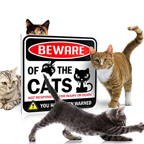 Foto 3 pulgar | Cartel Bigtime Signs Beware Of Gats, Divertido Adorno Para Gatos, 30 X 30 Cm - Venta Internacional.