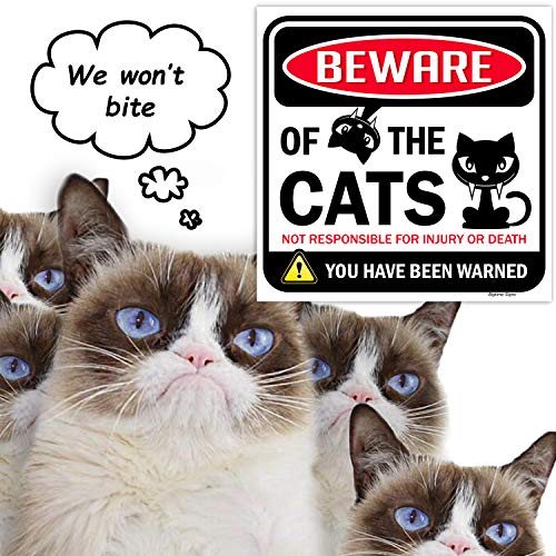 Foto 7 pulgar | Cartel Bigtime Signs Beware Of Gats, Divertido Adorno Para Gatos, 30 X 30 Cm - Venta Internacional.