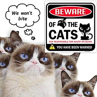 Foto 6 | Cartel Bigtime Signs Beware Of Gats, Divertido Adorno Para Gatos, 30 X 30 Cm - Venta Internacional.