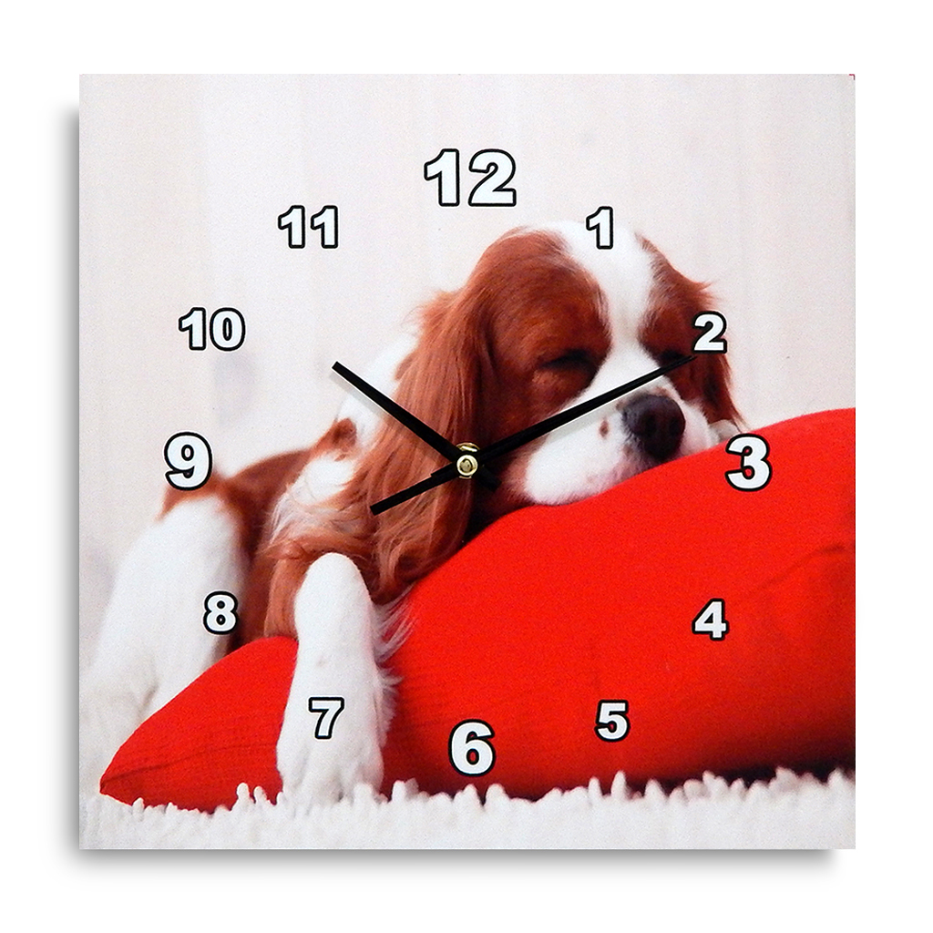 Reloj de Pared Aquila 201 Rojo