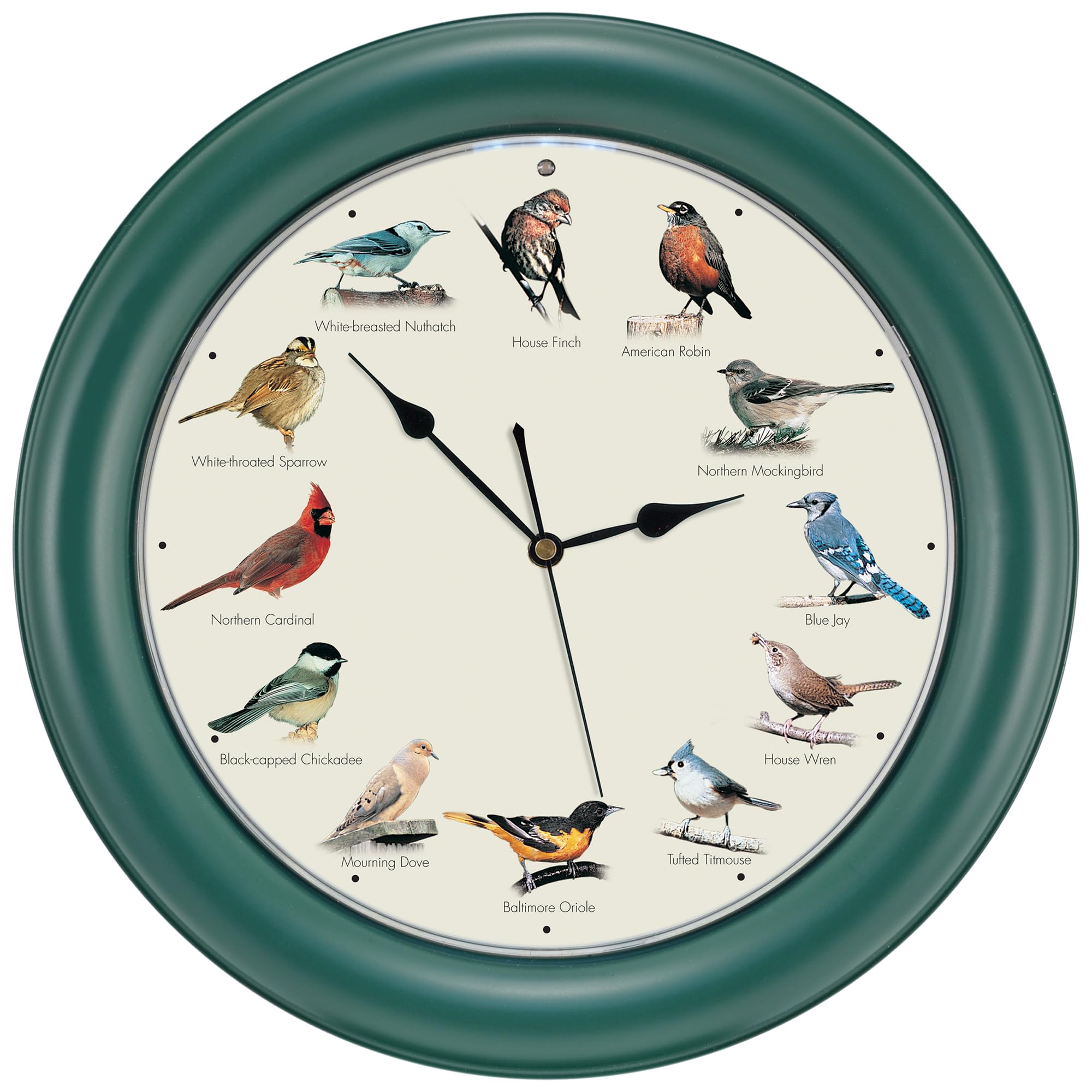 Reloj Con Forma De Pájaro Cantor Mark Feldstein Original, 27 Cm - Venta Internacional.