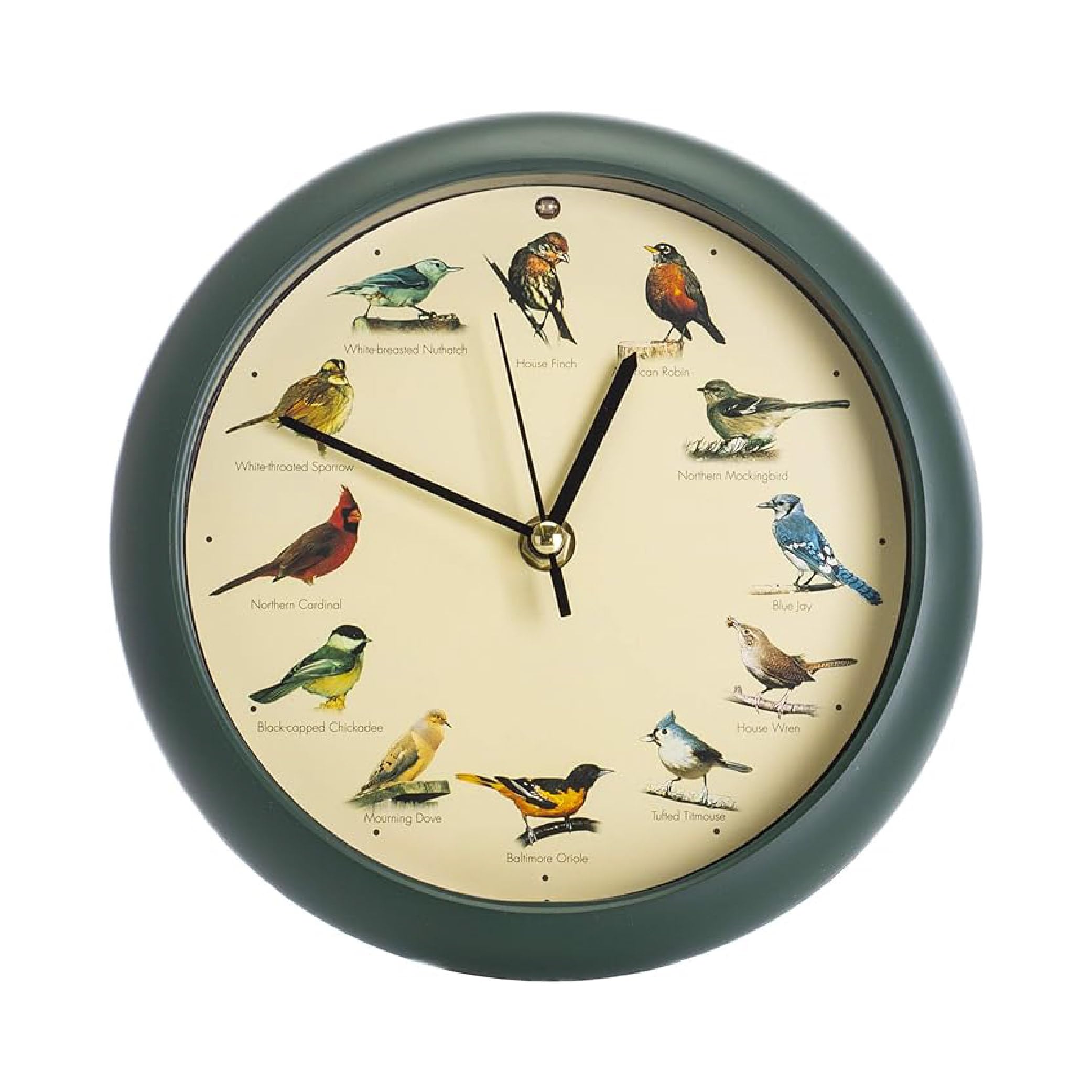 Reloj Singing Bird Mark Feldstein Original  20 Cm  Color Verde - Venta Internacional.