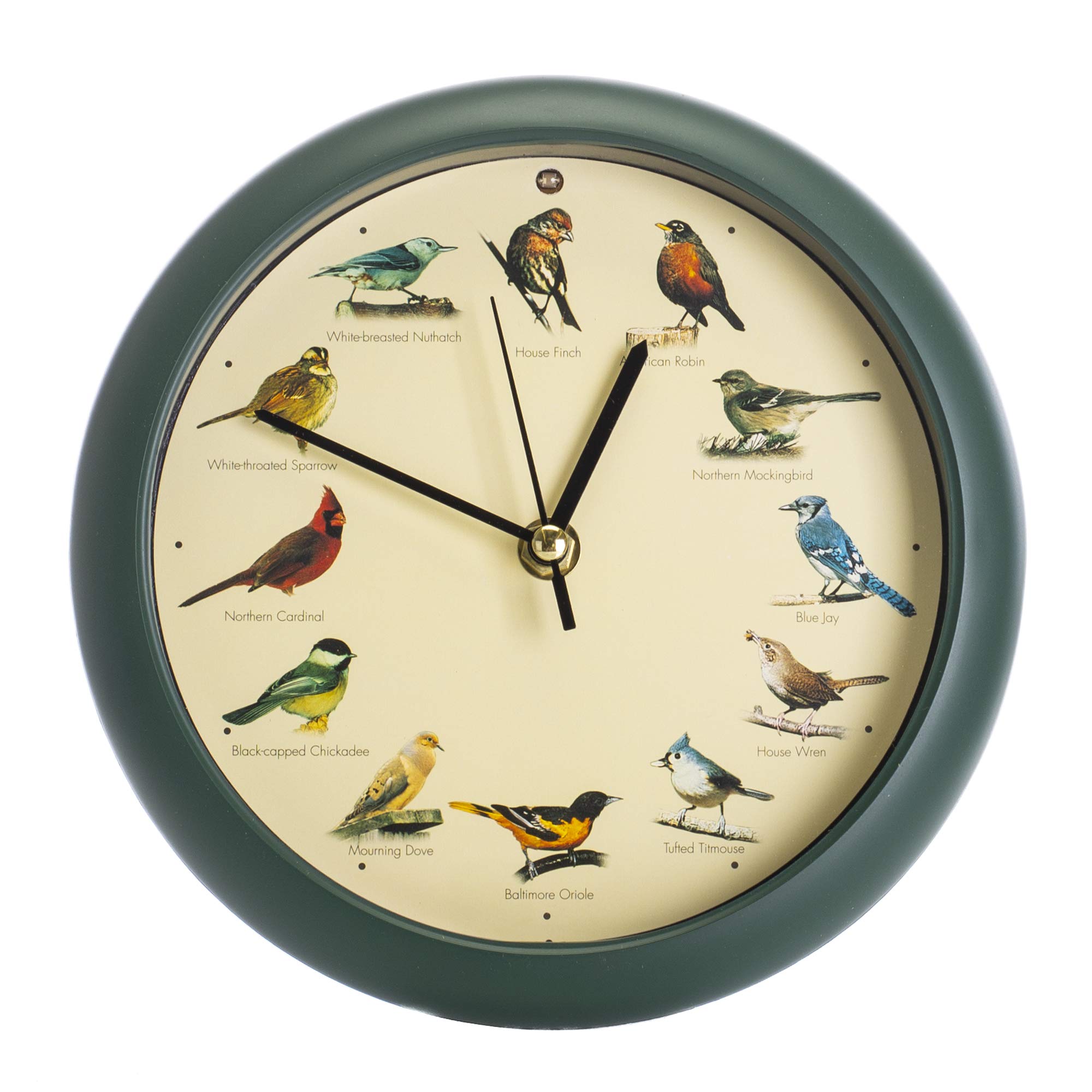 Foto 4 | Reloj Singing Bird Mark Feldstein Original  20 Cm  Color Verde - Venta Internacional.