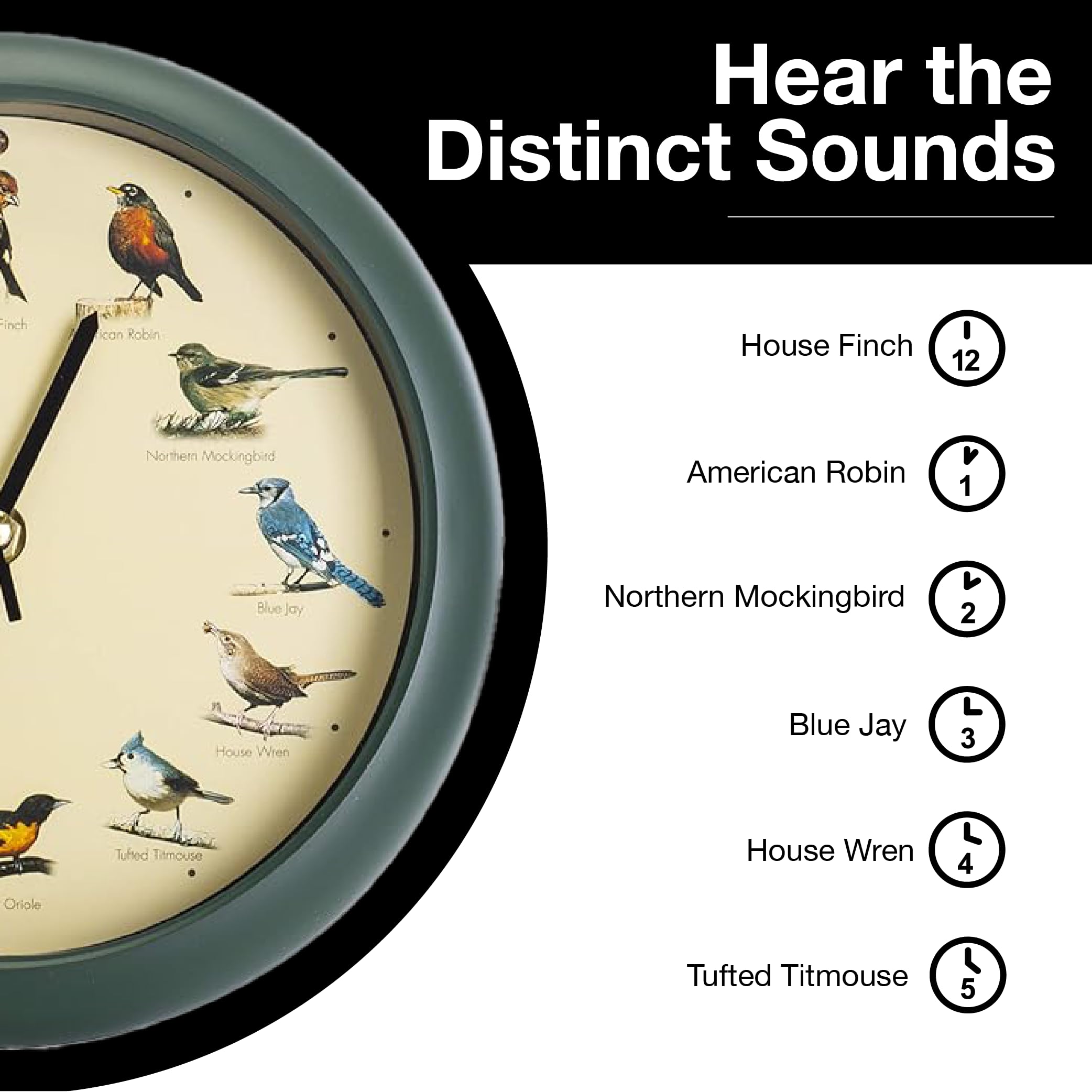 Foto 6 pulgar | Reloj Singing Bird Mark Feldstein Original  20 Cm  Color Verde - Venta Internacional.