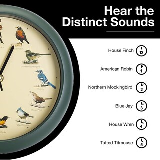 Foto 5 | Reloj Singing Bird Mark Feldstein Original 20 Cm Color Verde - Venta Internacional.