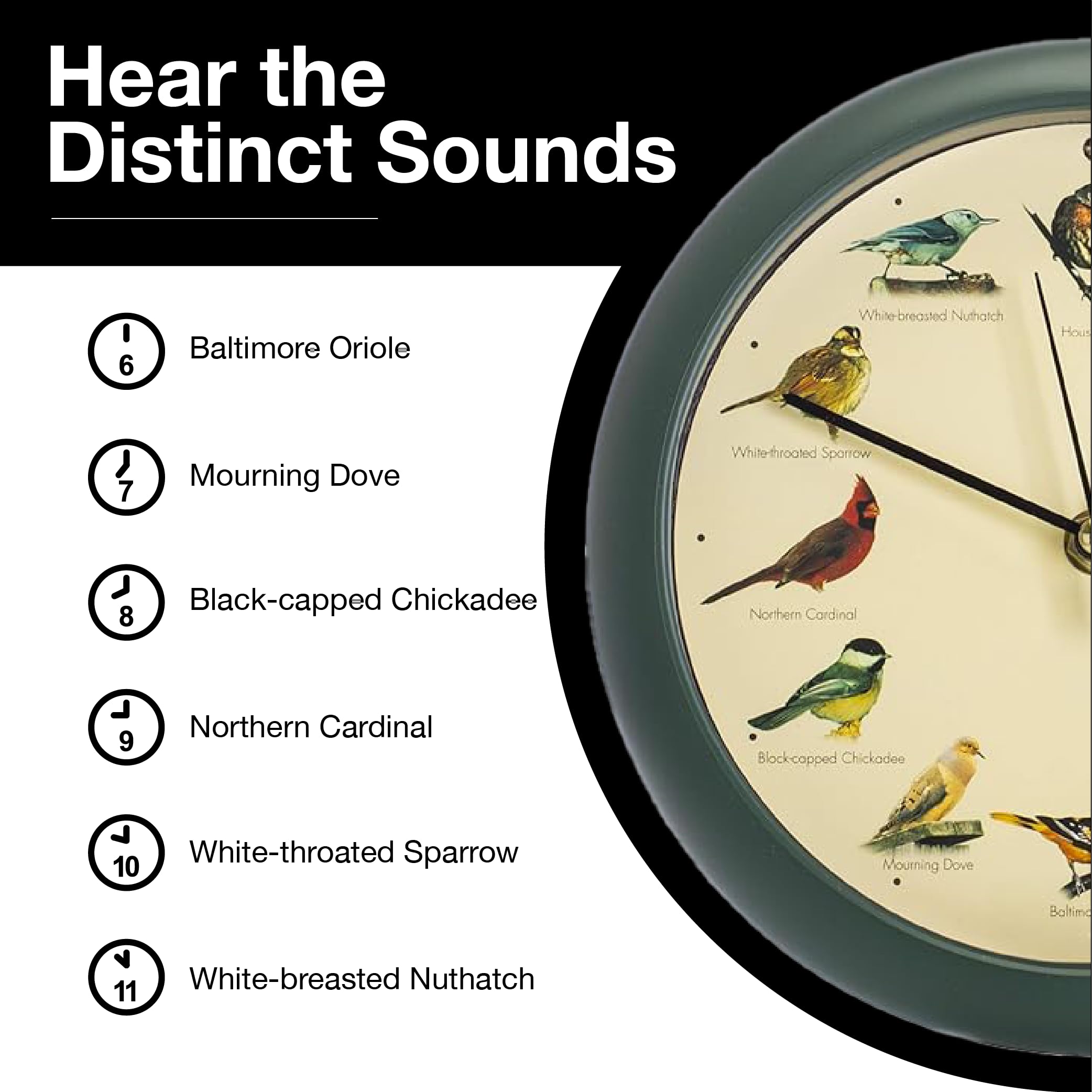Foto 7 pulgar | Reloj Singing Bird Mark Feldstein Original  20 Cm  Color Verde - Venta Internacional.