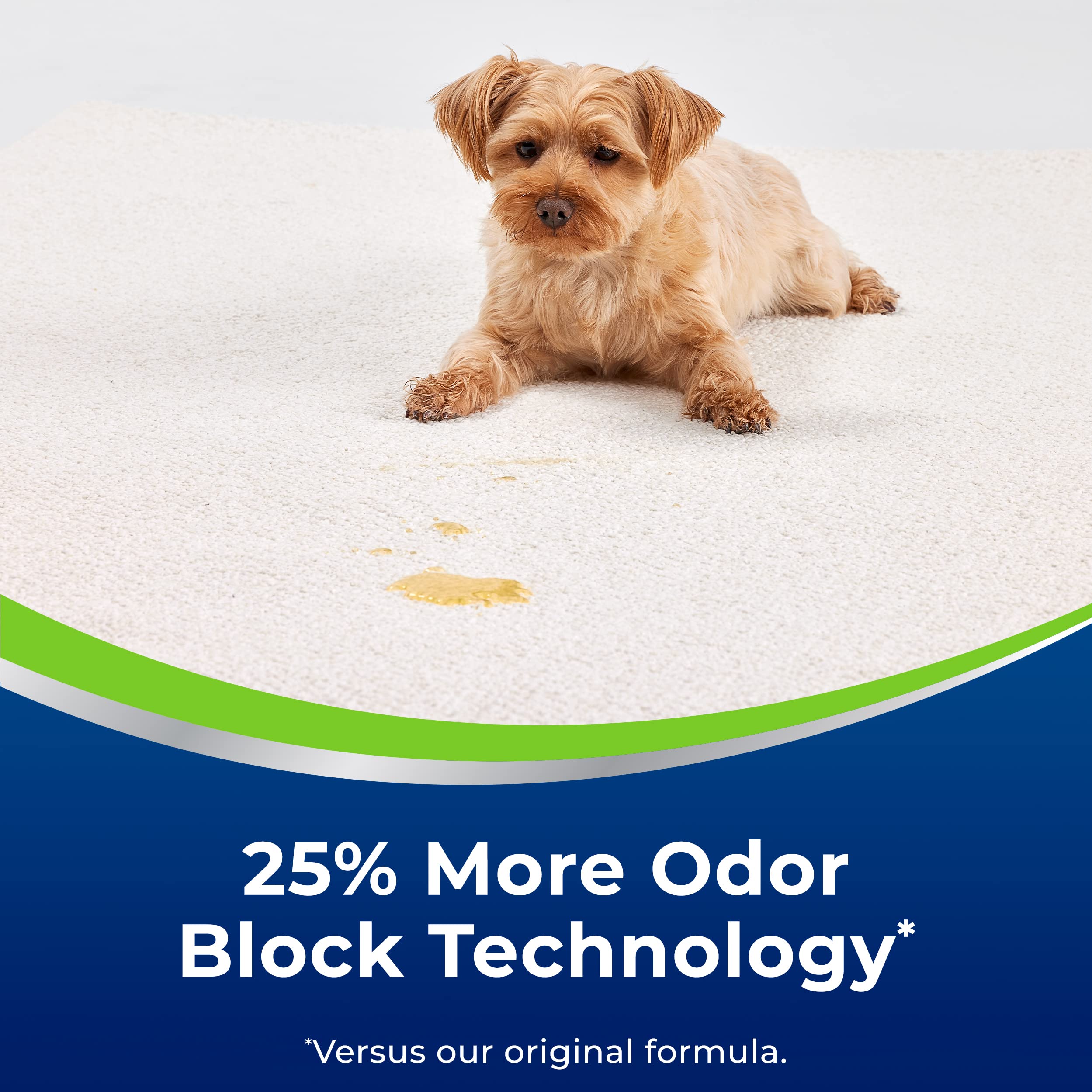 Foto 3 | Espuma Para Alfombras Bissell Woolite Advantage Heavy Traffic, Paquete De 4 - Venta Internacional.