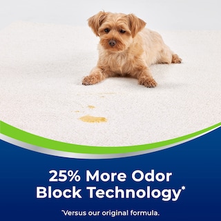 Foto 3 | Espuma Para Alfombras Bissell Woolite Advantage Heavy Traffic, Paquete De 4 - Venta Internacional.
