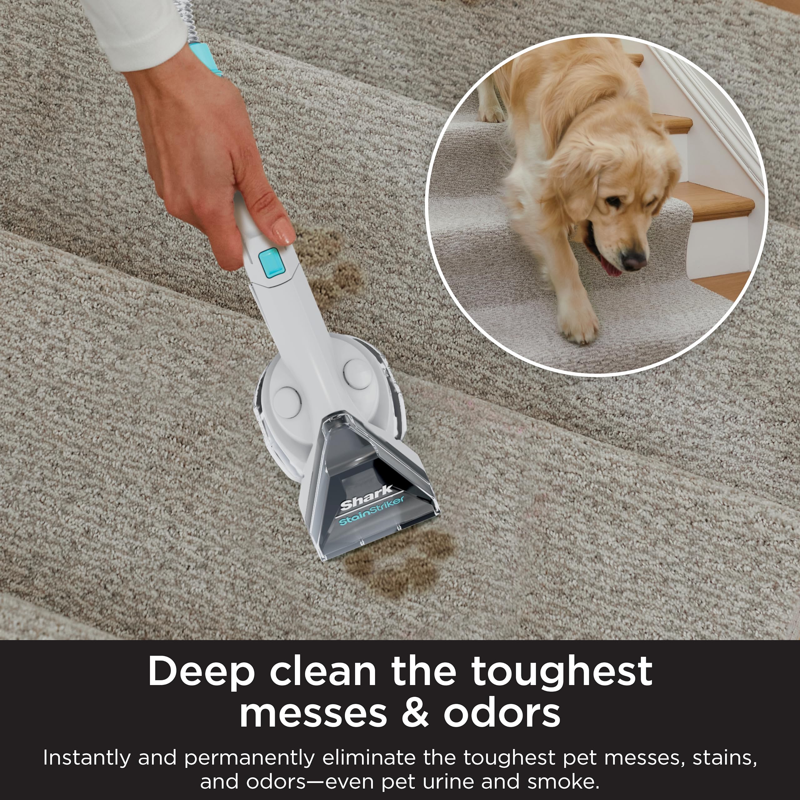 Foto 5 | Solución Limpiadora De Alfombras Shark Exox32 Stainstriker Oxy 946 Ml - Venta Internacional.