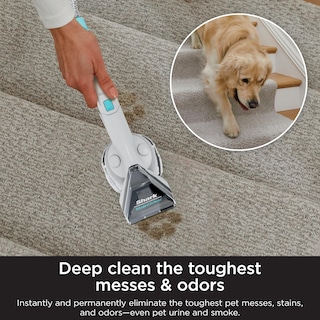 Foto 5 | Solución Limpiadora De Alfombras Shark Exox32 Stainstriker Oxy 946 Ml - Venta Internacional.