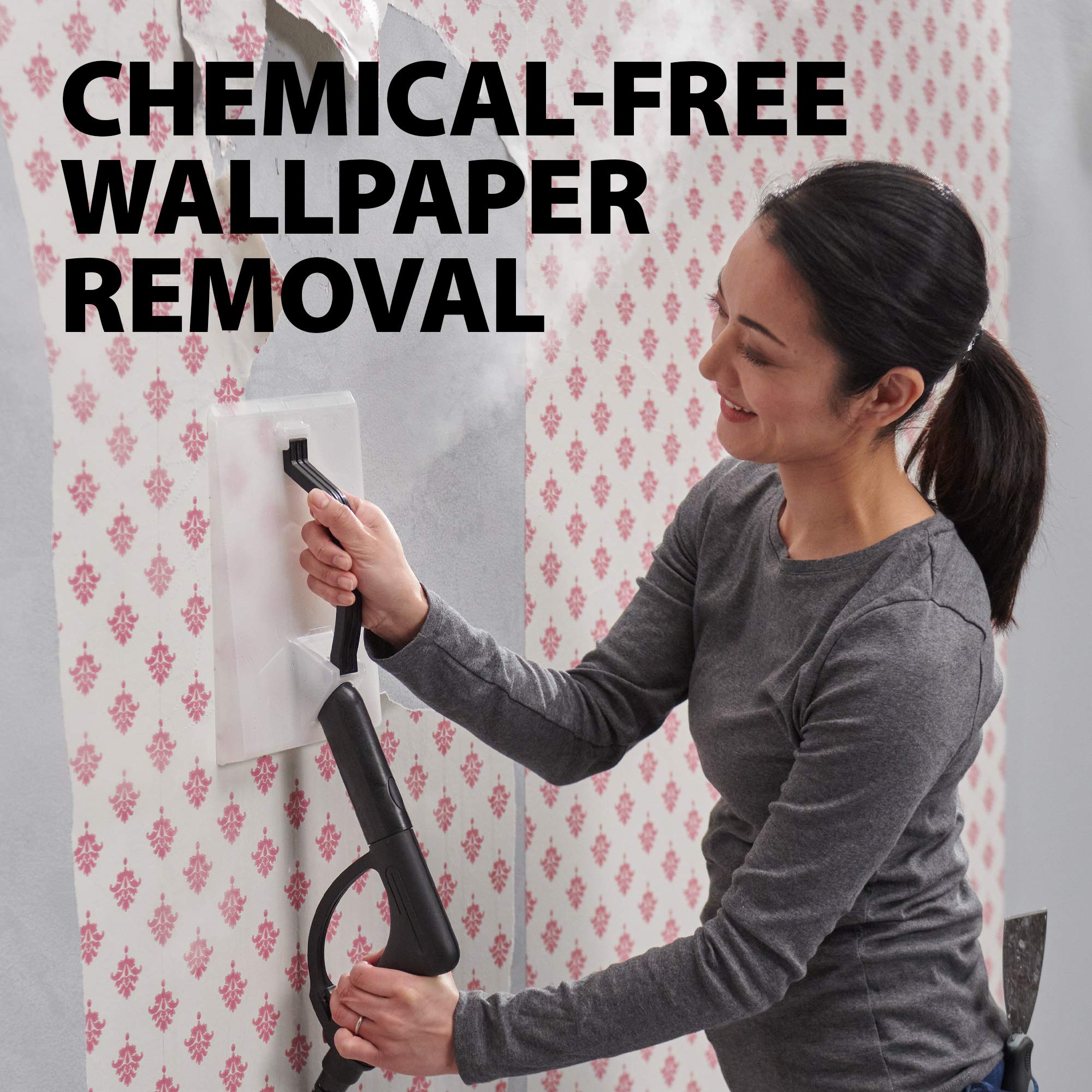 Foto 3 | Limpiador A Vapor Wagner Spraytech 0282014 915e 40 M Runtime - Venta Internacional.