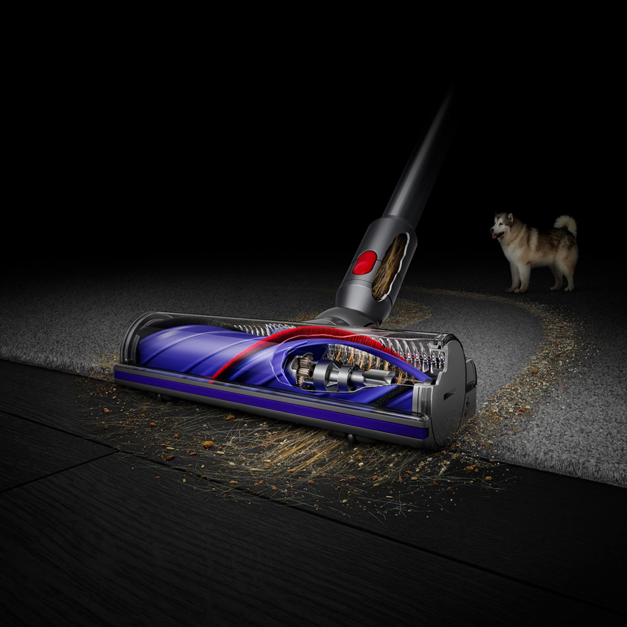 Foto 4 pulgar | Aspirador Dyson V8 Animal Extra Cordless - Venta Internacional