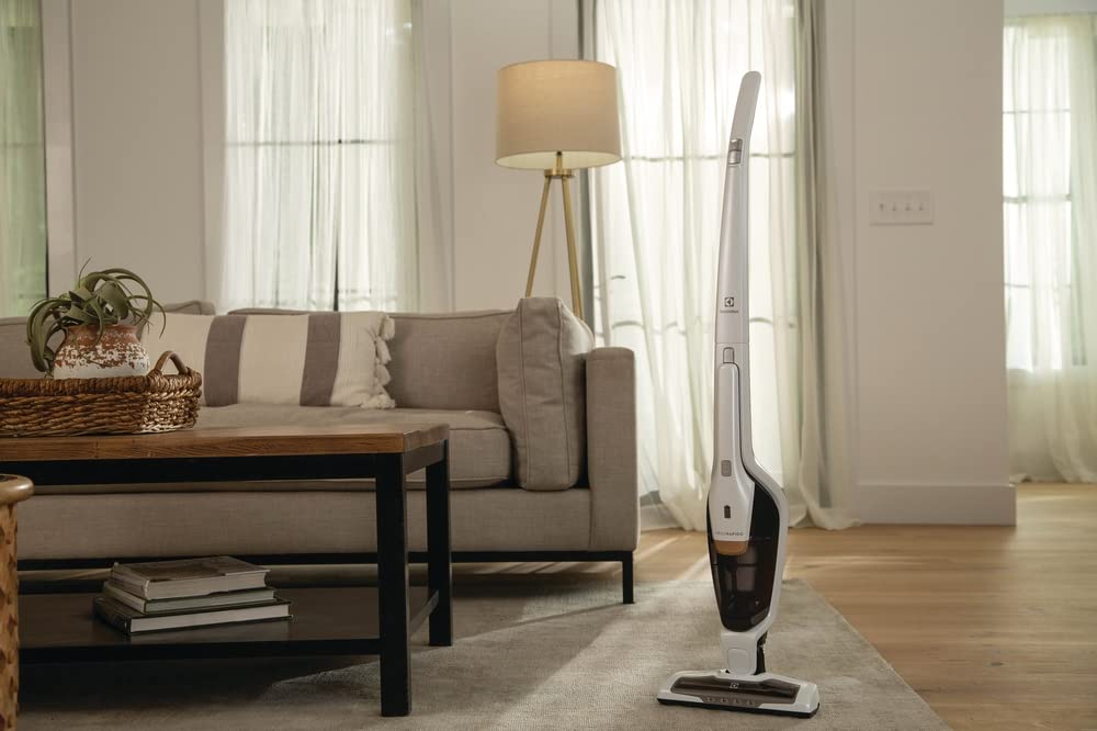 Foto 2 | Aspirador De Barra Electrolux Ergorapido Lightweight - Venta Internacional.