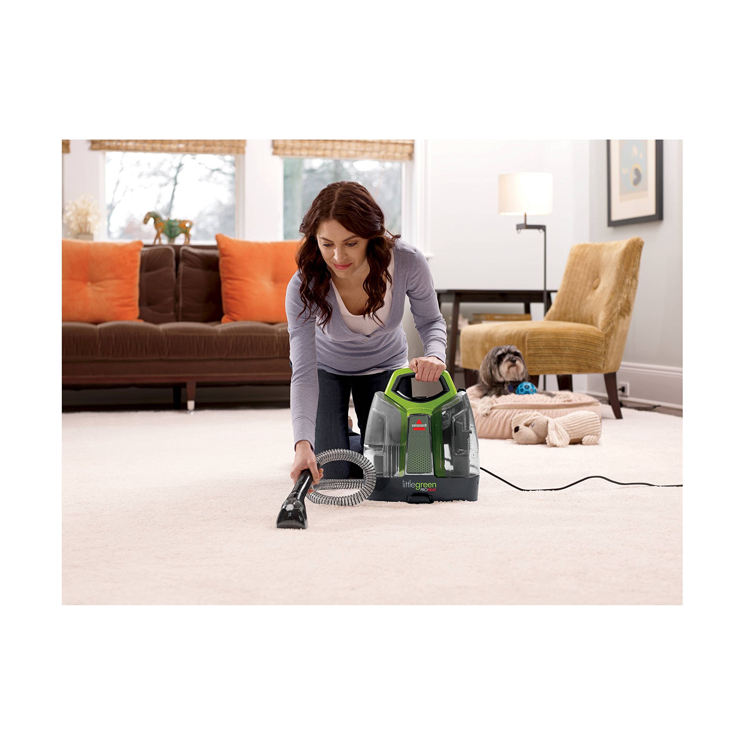 Foto 4 pulgar | Limpiador De Manchas Y Manchas Bissell Little Green Proheat 5207g - Venta Internacional.