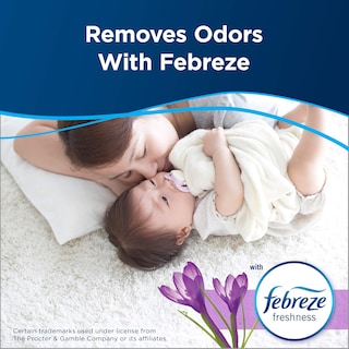 Foto 7 | Limpiador De Alfombras Bissell Spot & Stain 7149 946 Ml Con Febreze - Venta Internacional.