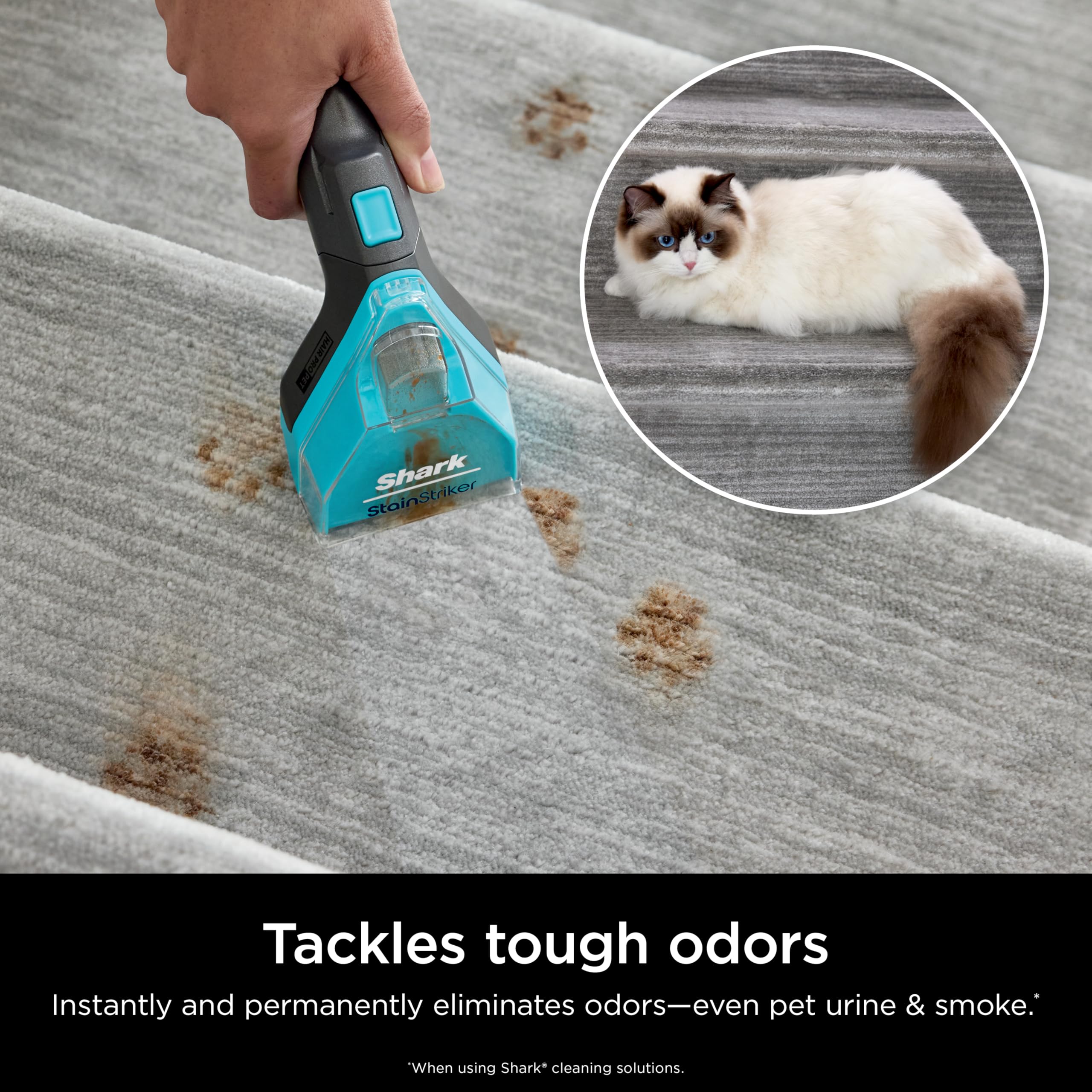 Foto 6 pulgar | Paquete De Limpiador De Alfombras Shark Stainstriker Pet Para Pxcpbundle - Venta Internacional.