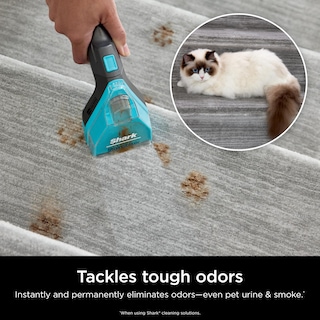 Foto 5 | Paquete De Limpiador De Alfombras Shark Stainstriker Pet Para Pxcpbundle - Venta Internacional.