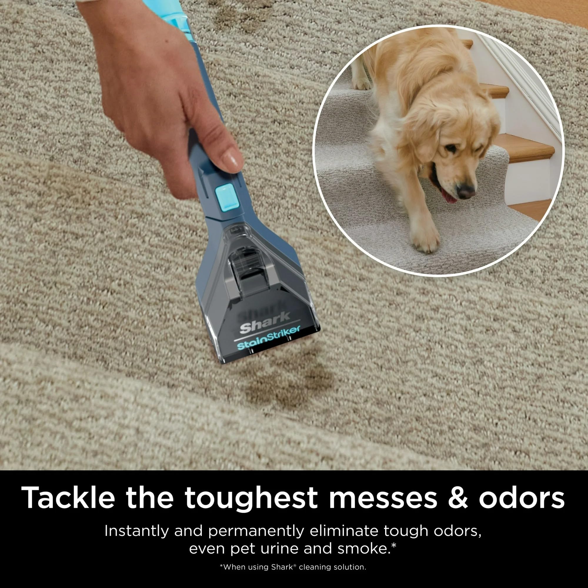 Foto 5 pulgar | Reacondicionado Limpiador Portátil Para Alfombras Y Tapicería Shark Px200 Stainstriker - Venta Internacional.