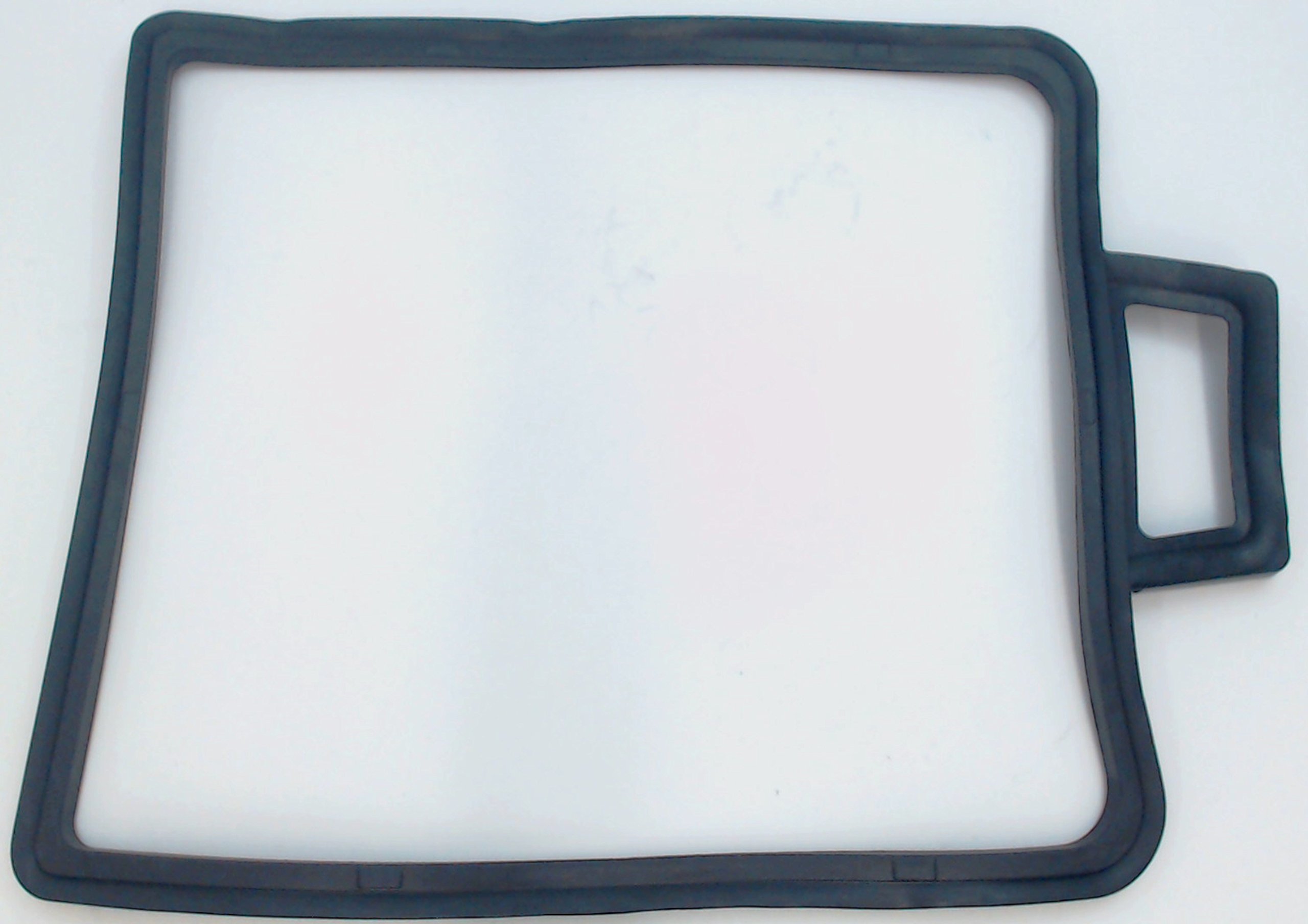Foto 1 | Limpiador De Alfombras Dirty Tank Gasket Bissell Big Green 2037453 - Venta Internacional.