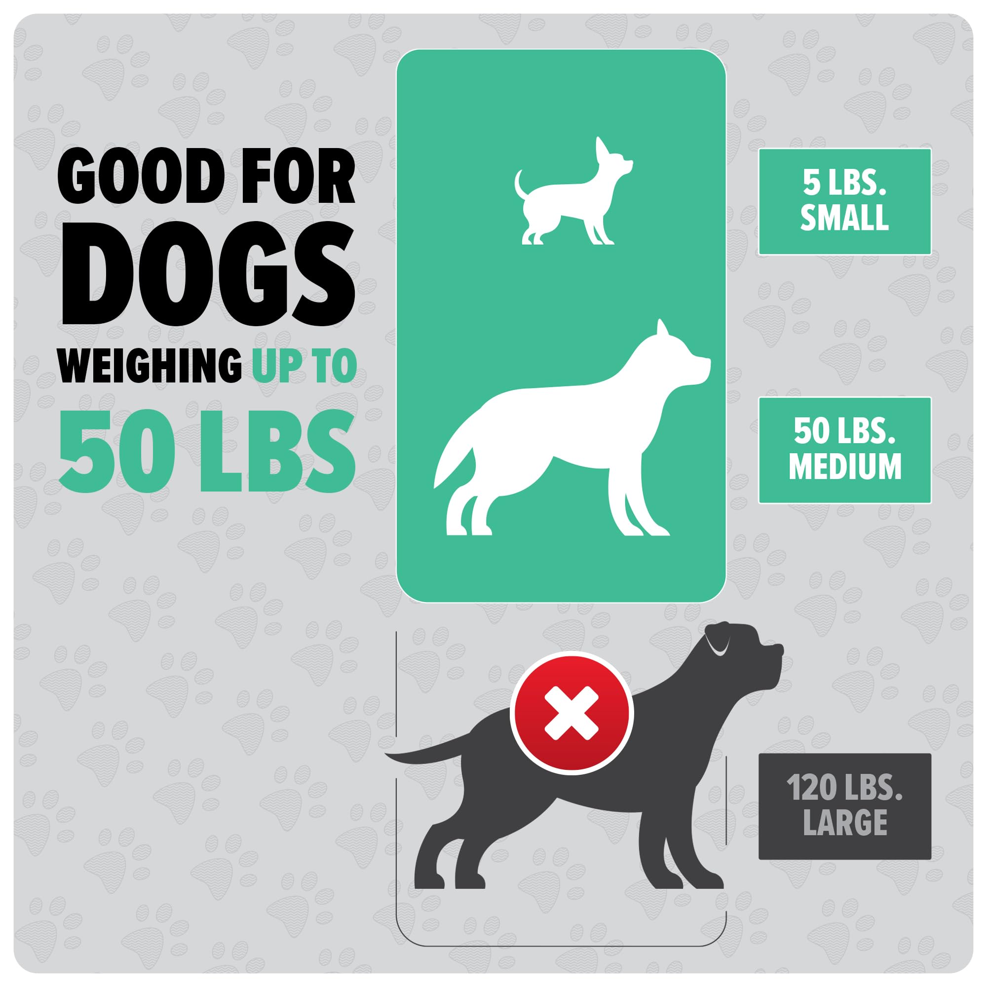 Foto 6 | Aspiradora Portátil De Mano Dirt Devil Dogwalker Para Perros - Venta Internacional.