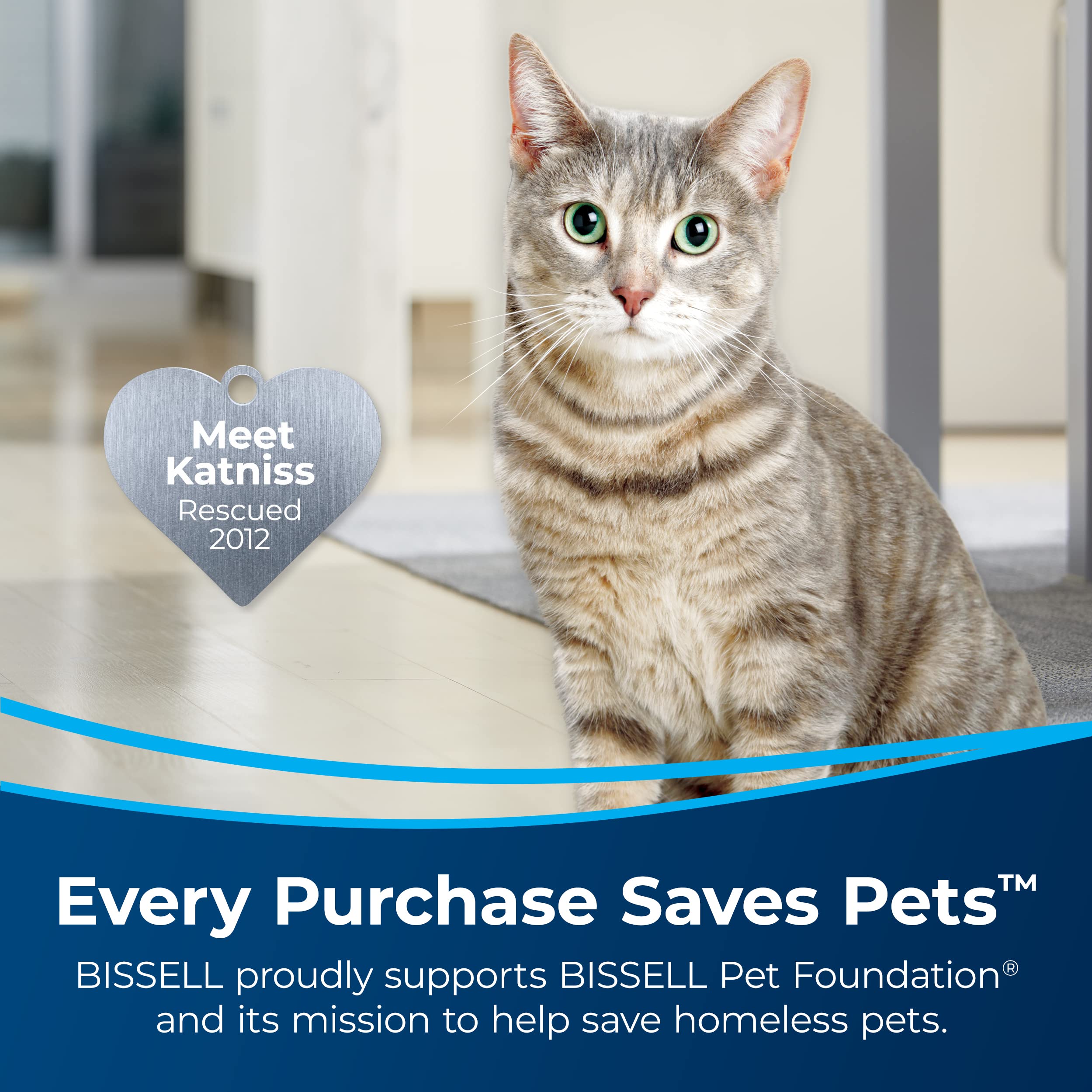 Foto 2 | Solución De Limpieza Bissell Pet Multi-surface, 1,89 L, Para Crosswave - Venta Internacional.