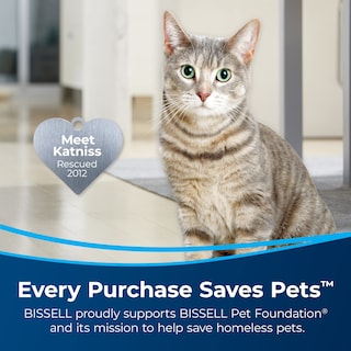 Foto 2 | Solución De Limpieza Bissell Pet Multi-surface, 1,89 L, Para Crosswave - Venta Internacional.