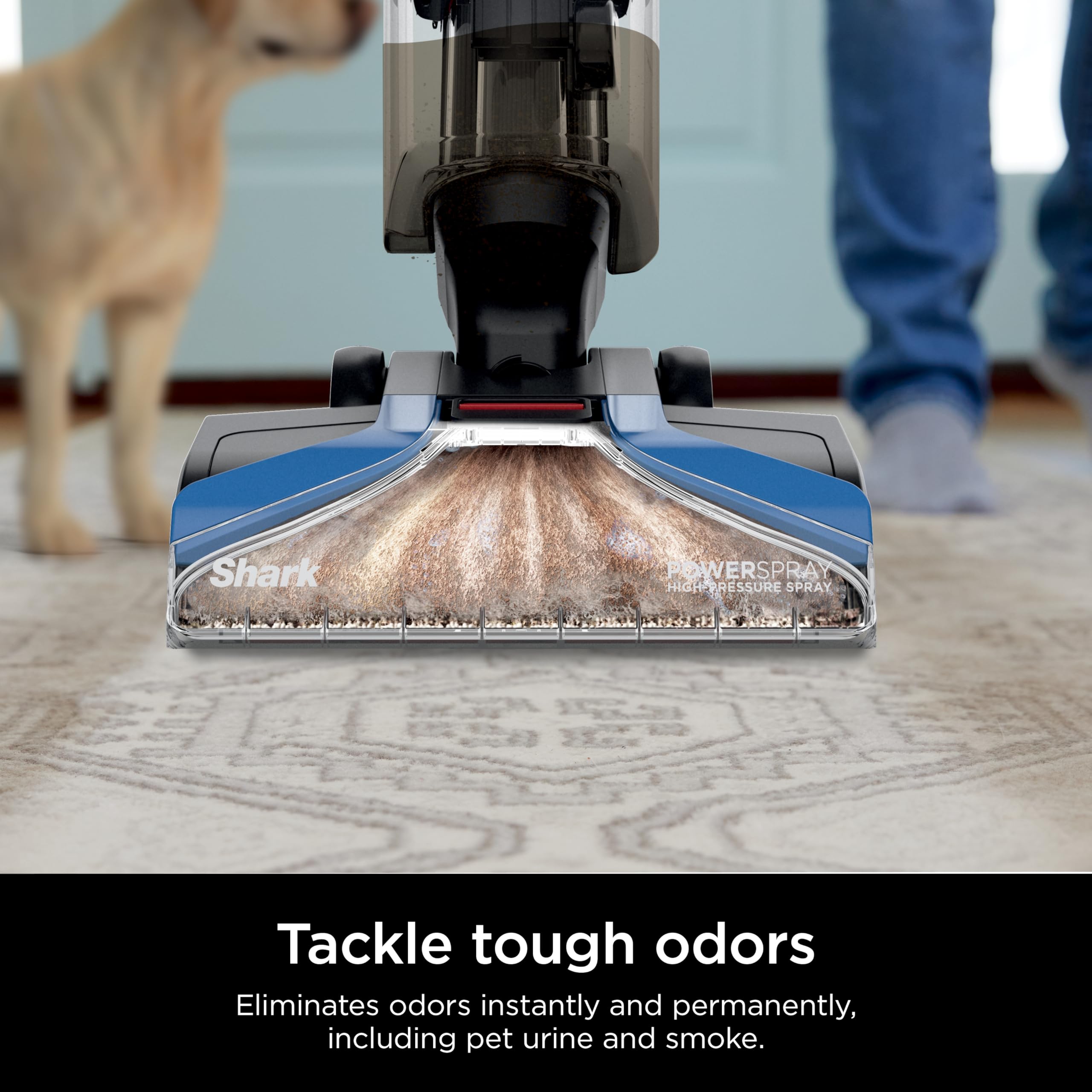 Foto 6 pulgar | Limpiador De Alfombras Y Alfombras Shark Carpetxpert Ex121brn Blue - Venta Internacional.