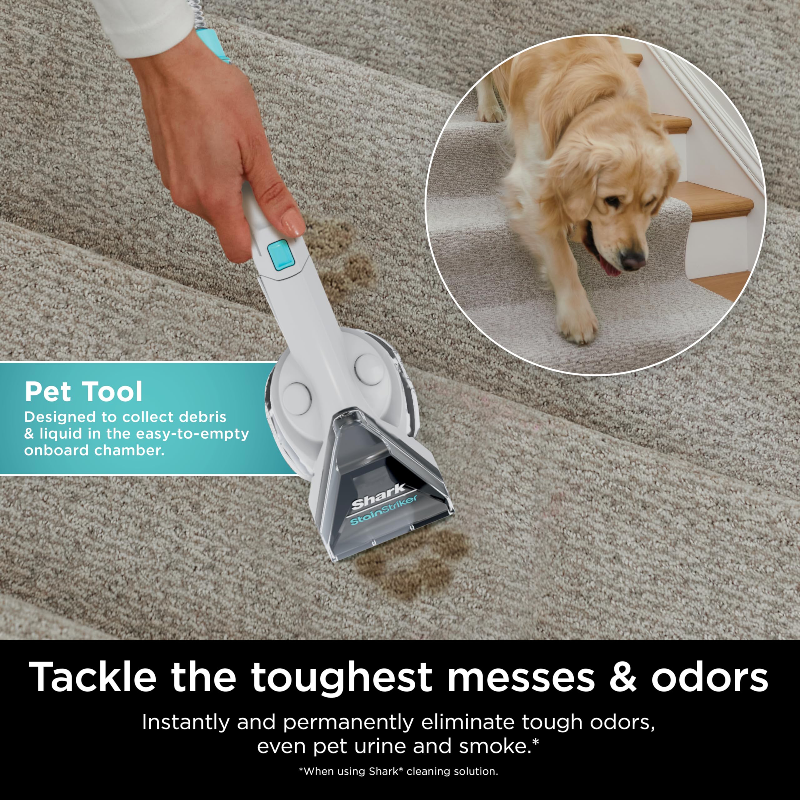 Foto 5 pulgar | Limpiador De Alfombras Y Tapicería Shark Stainstriker Px201, Blanco - Venta Internacional.