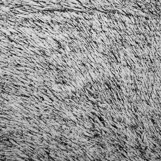Foto 3 | Cobertor Grizzly King Size Blanco Térmico Black & White