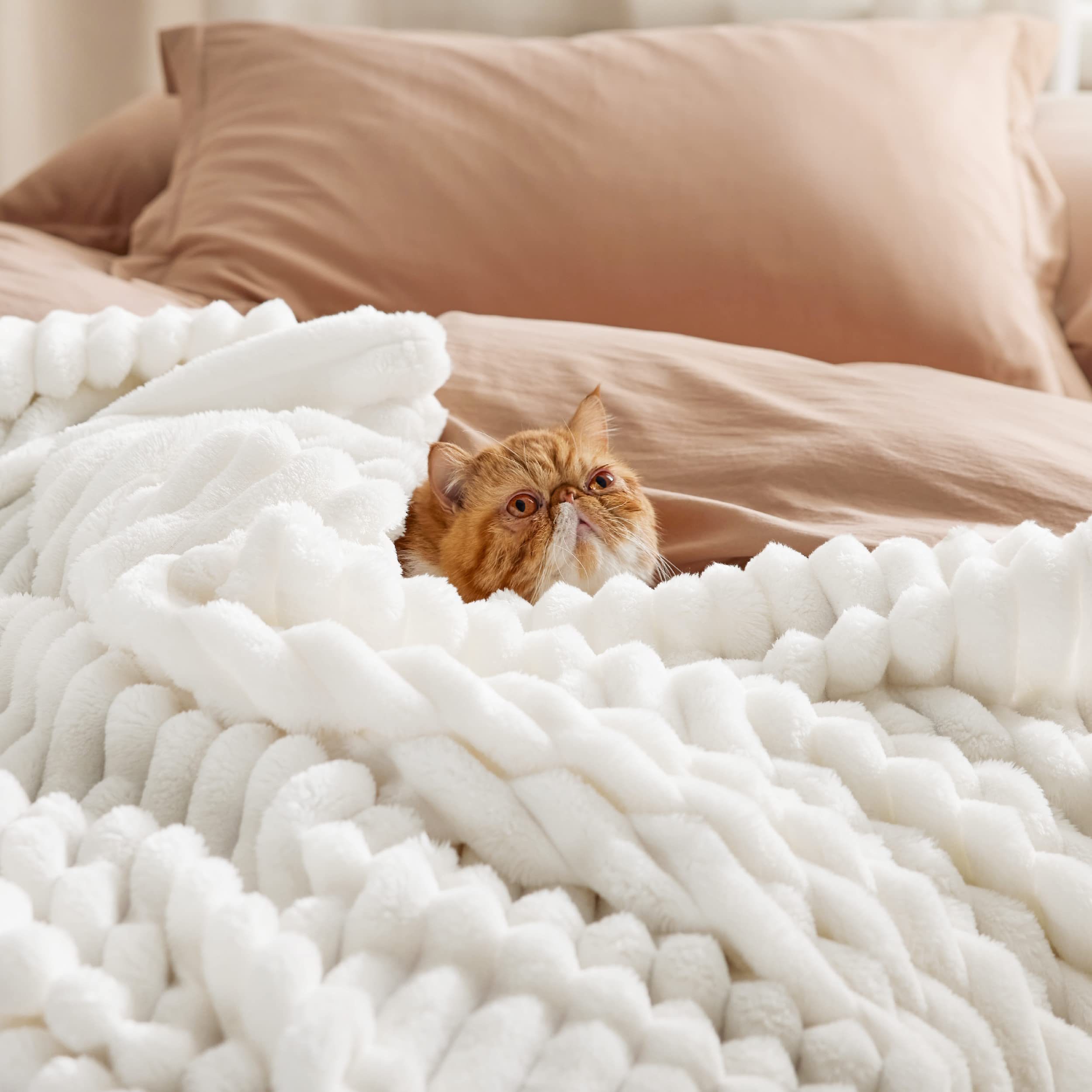 Foto 4 pulgar | Manta Bedsure Gentlesoft Cozy, Blanca, 125 X 150 Cm - Venta Internacional.