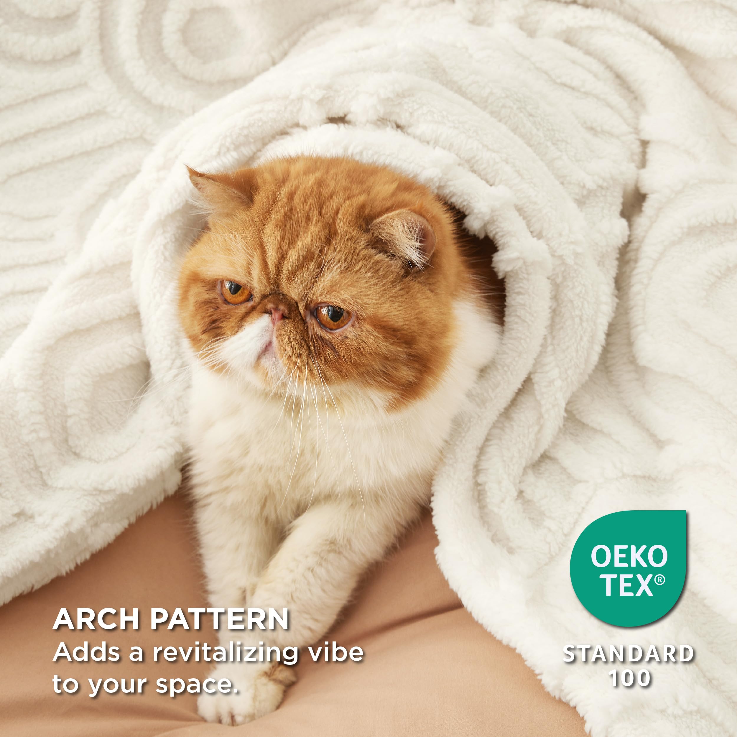 Foto 4 pulgar | Manta De Forro Polar, Tamaño Queen, Supersuave Y Acogedora, Color Blanco - Venta Internacional.