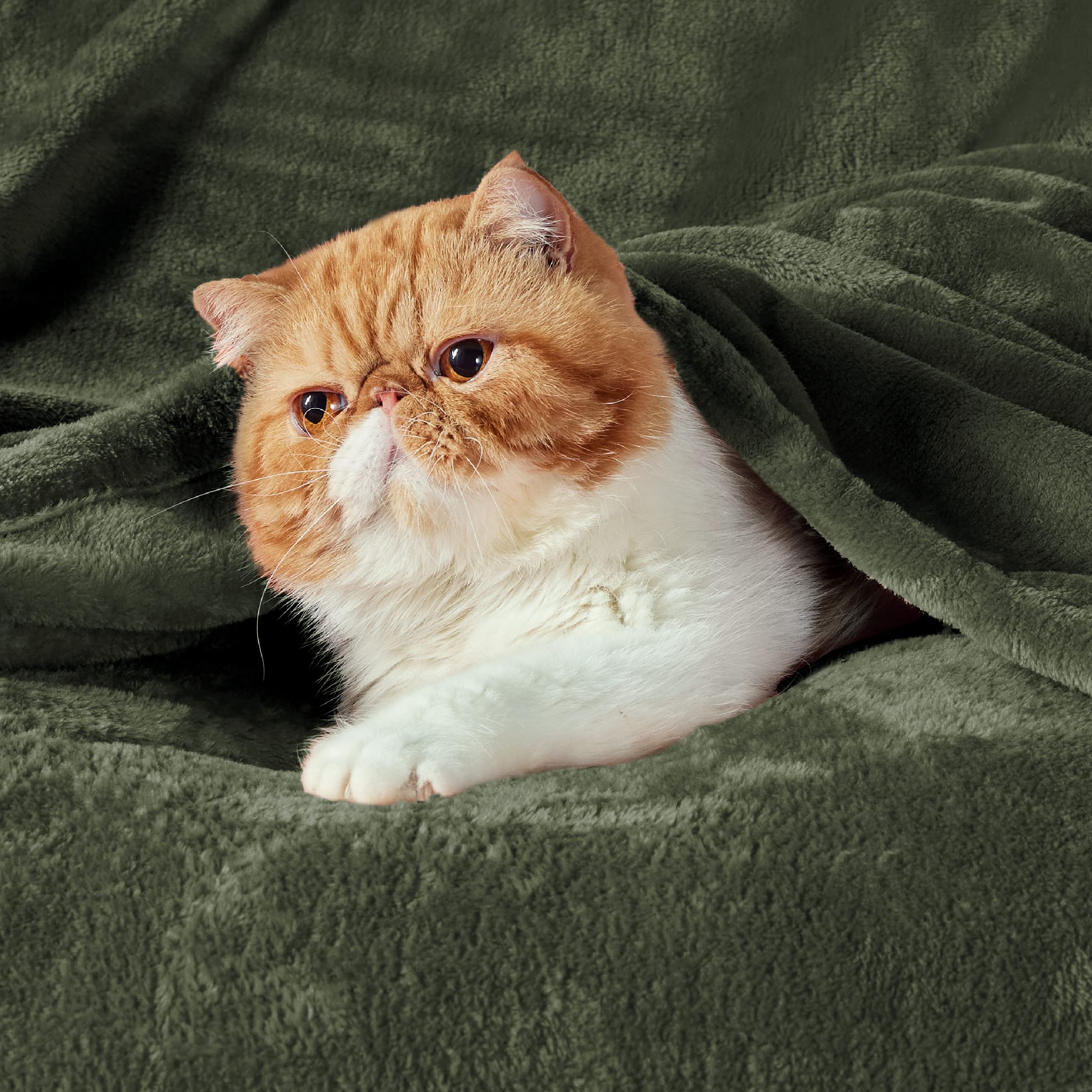 Foto 3 pulgar | Manta Bedsure Fleece Queen, Color Verde Oliva, 230 X 230 Cm - Venta Internacional.