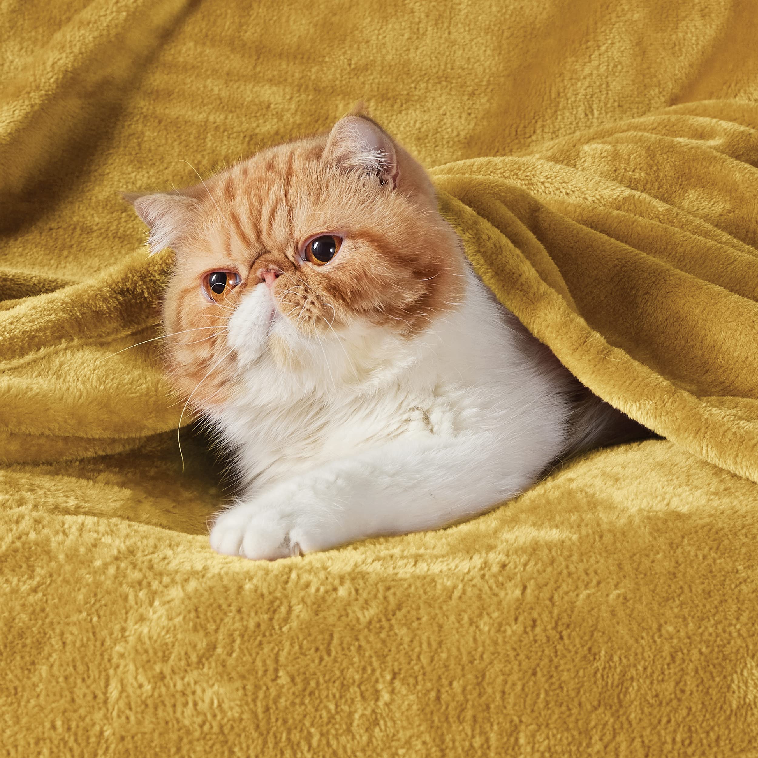 Foto 3 pulgar | Manta Polar Para Cama, Color Amarillo, 300 G/m², Suave, 130 X 180 Cm - Venta Internacional.